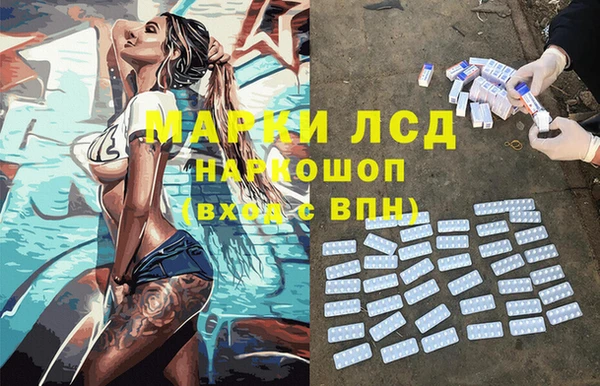 прущие грибы Новокубанск