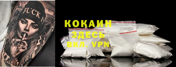прущие грибы Новокубанск